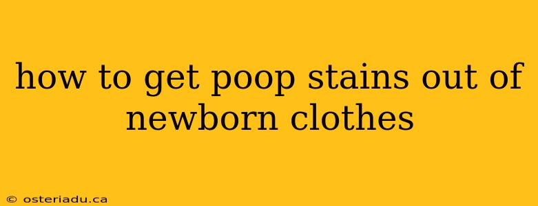 how to get poop stains out of newborn clothes