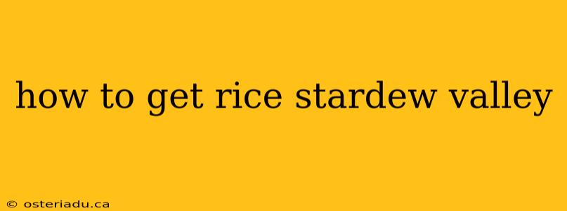 how to get rice stardew valley