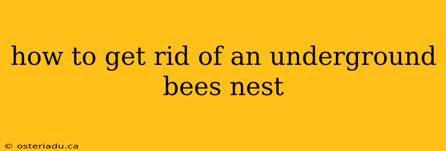 how to get rid of an underground bees nest