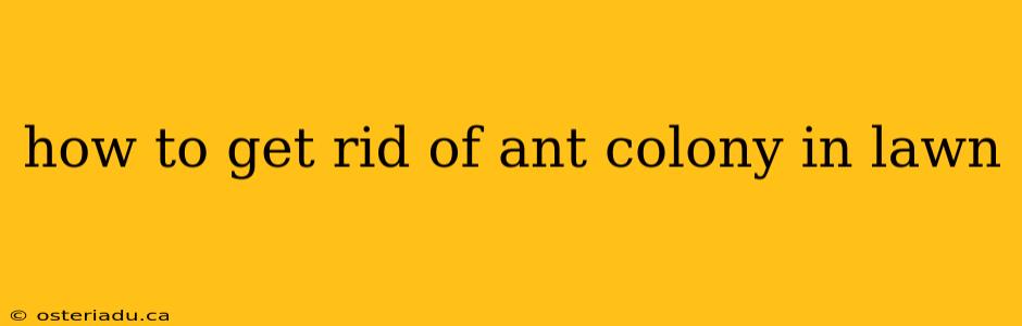 how to get rid of ant colony in lawn