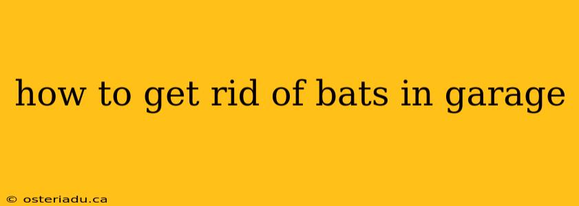 how to get rid of bats in garage