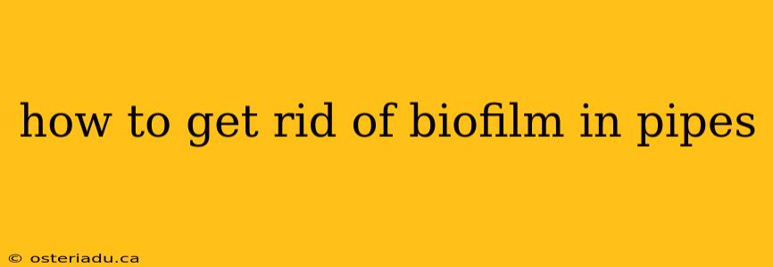 how to get rid of biofilm in pipes