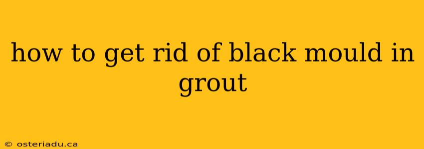 how to get rid of black mould in grout