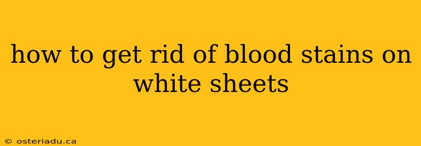 how to get rid of blood stains on white sheets