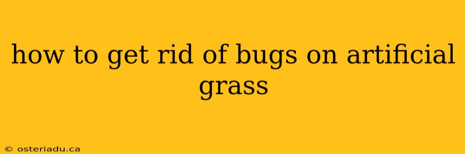 how to get rid of bugs on artificial grass