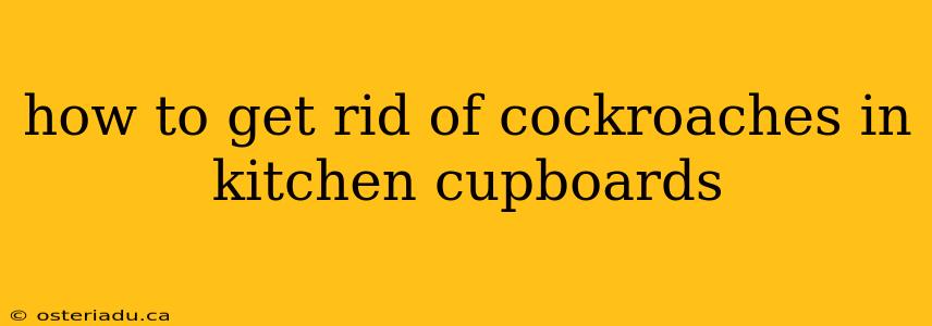 how to get rid of cockroaches in kitchen cupboards