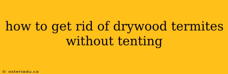 how to get rid of drywood termites without tenting