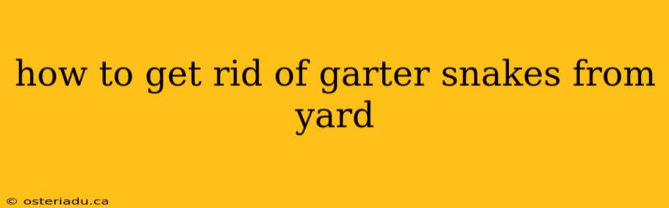 how to get rid of garter snakes from yard