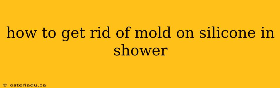 how to get rid of mold on silicone in shower