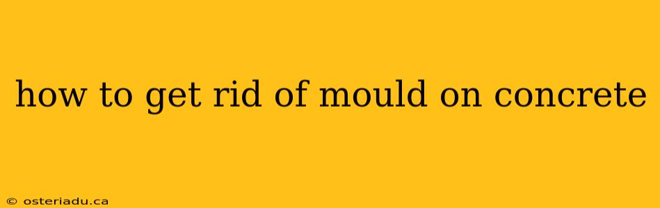 how to get rid of mould on concrete