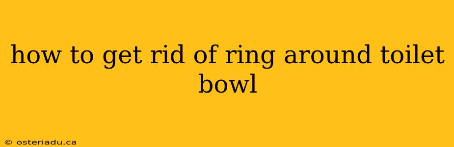 how to get rid of ring around toilet bowl