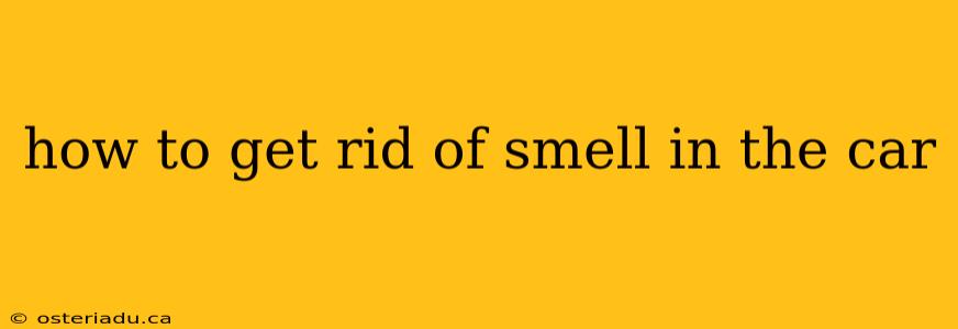 how to get rid of smell in the car