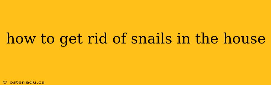 how to get rid of snails in the house