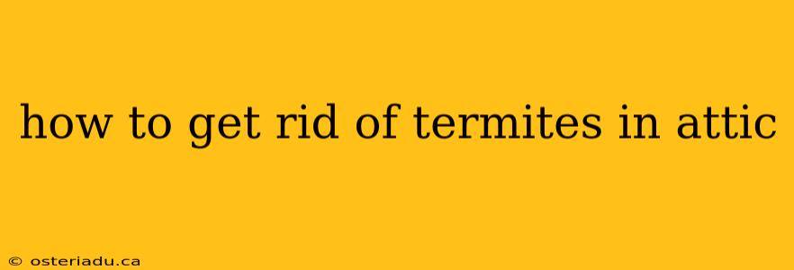 how to get rid of termites in attic