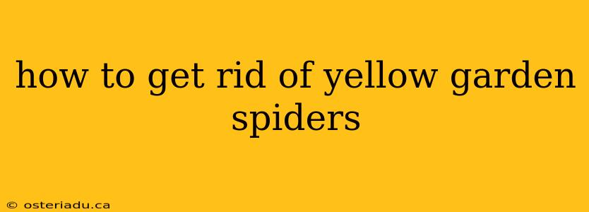 how to get rid of yellow garden spiders