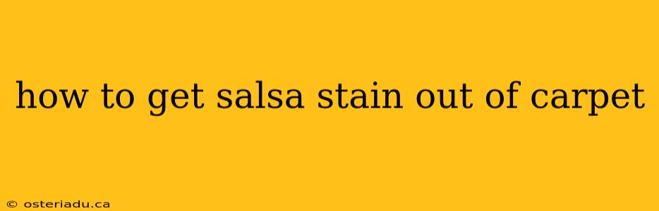 how to get salsa stain out of carpet