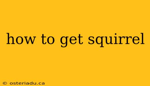 how to get squirrel