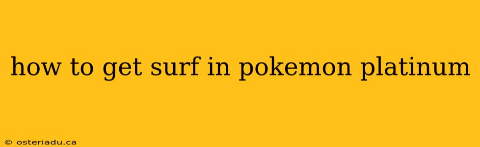 how to get surf in pokemon platinum