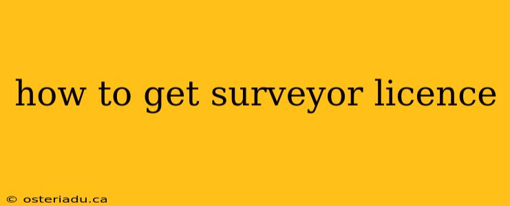 how to get surveyor licence