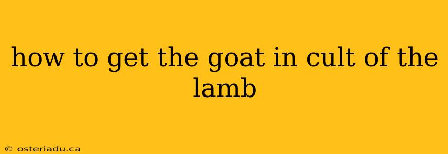 how to get the goat in cult of the lamb