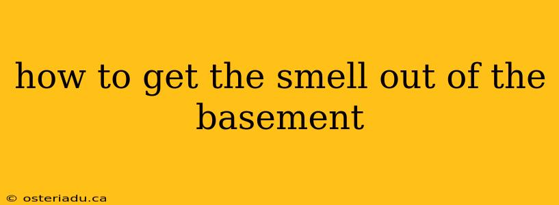 how to get the smell out of the basement