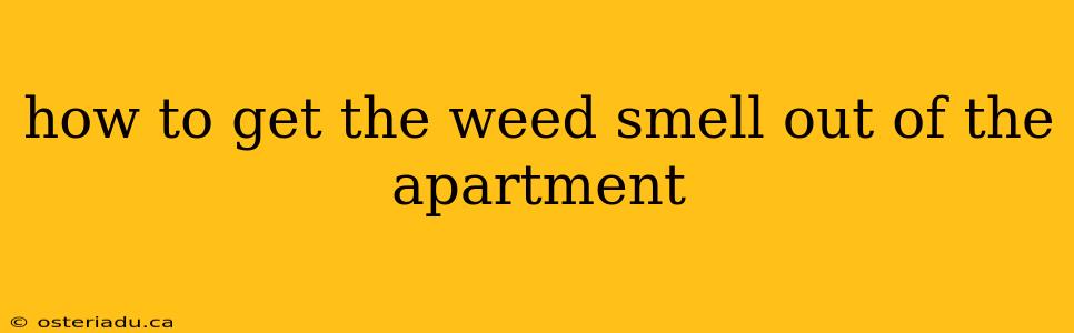 how to get the weed smell out of the apartment