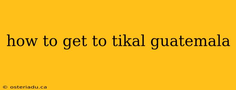 how to get to tikal guatemala