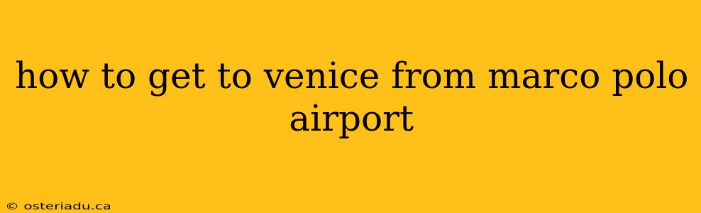 how to get to venice from marco polo airport