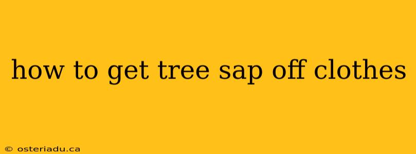 how to get tree sap off clothes