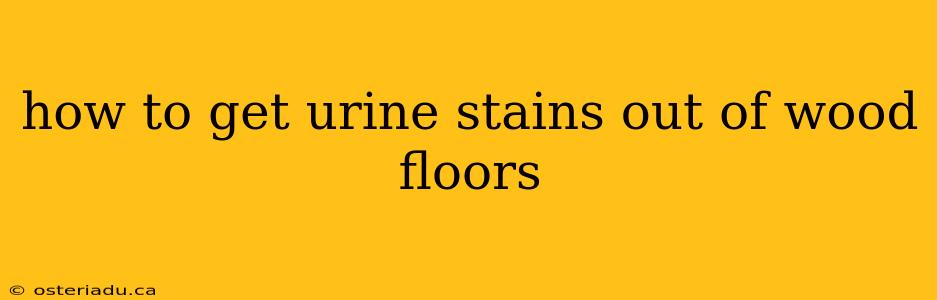 how to get urine stains out of wood floors