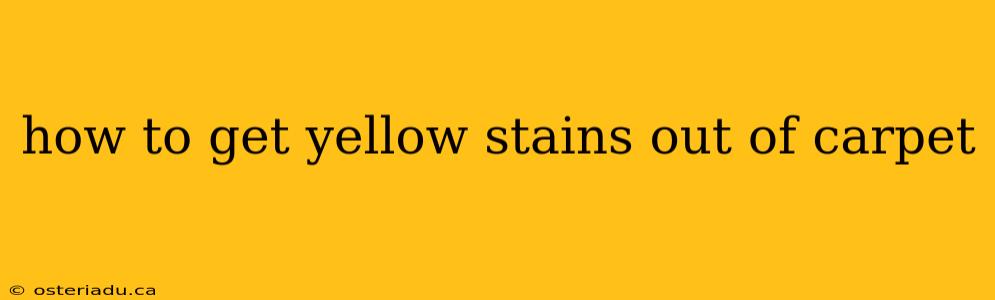 how to get yellow stains out of carpet