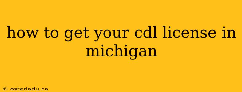 how to get your cdl license in michigan