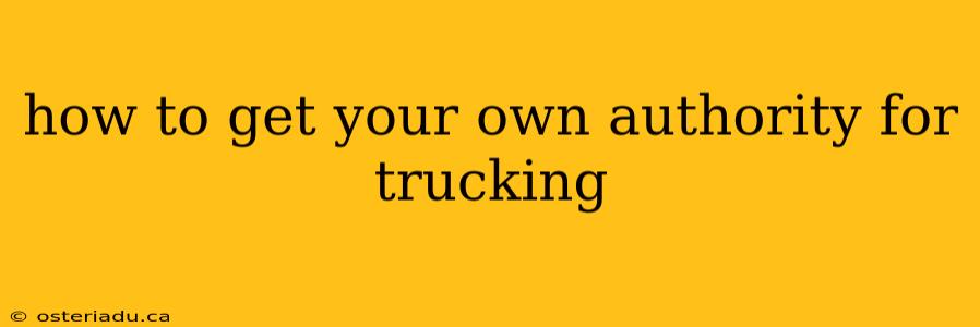 how to get your own authority for trucking