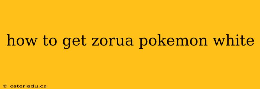 how to get zorua pokemon white