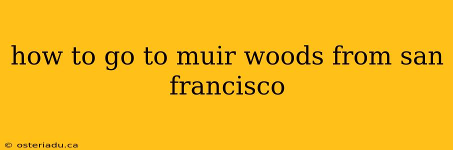 how to go to muir woods from san francisco