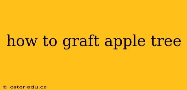 how to graft apple tree