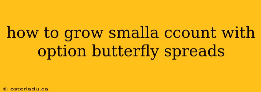 how to grow smalla ccount with option butterfly spreads