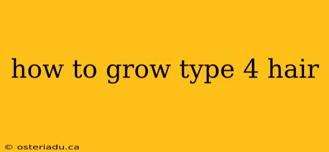 how to grow type 4 hair