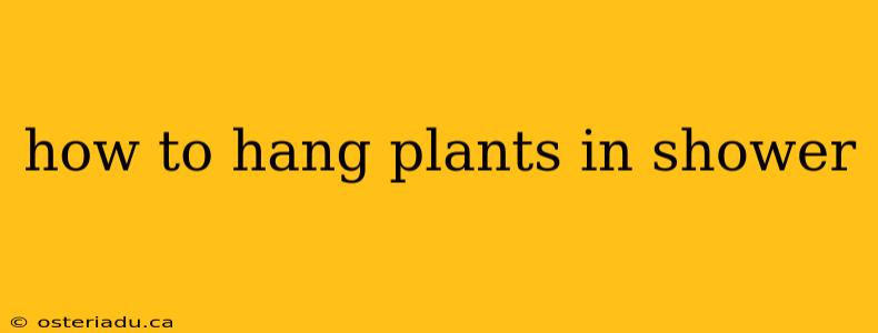 how to hang plants in shower