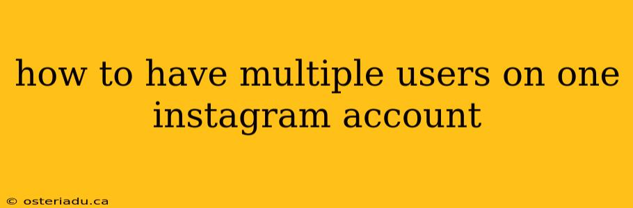 how to have multiple users on one instagram account