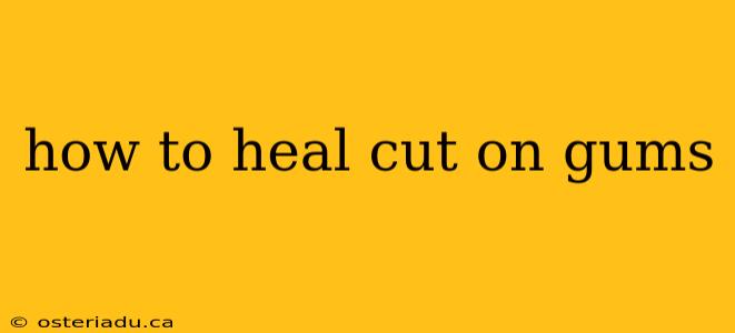 how to heal cut on gums