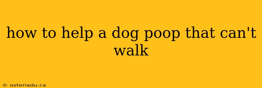 how to help a dog poop that can't walk