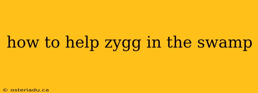 how to help zygg in the swamp