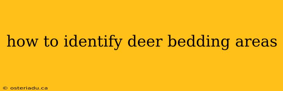 how to identify deer bedding areas