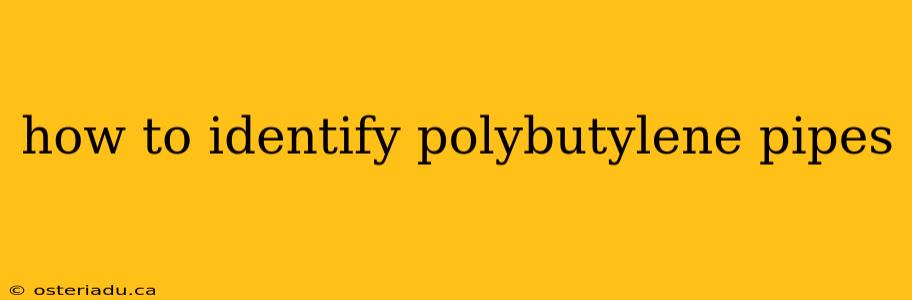 how to identify polybutylene pipes