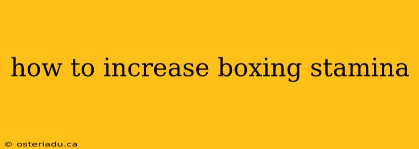 how to increase boxing stamina