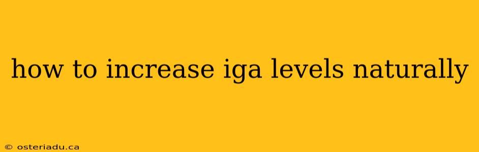 how to increase iga levels naturally