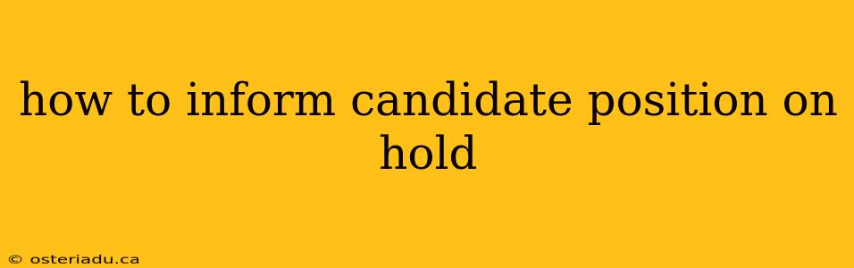 how to inform candidate position on hold