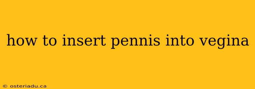 how to insert pennis into vegina