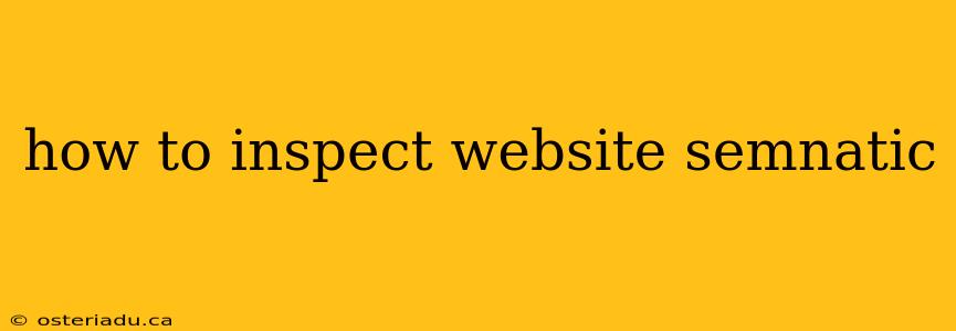 how to inspect website semnatic